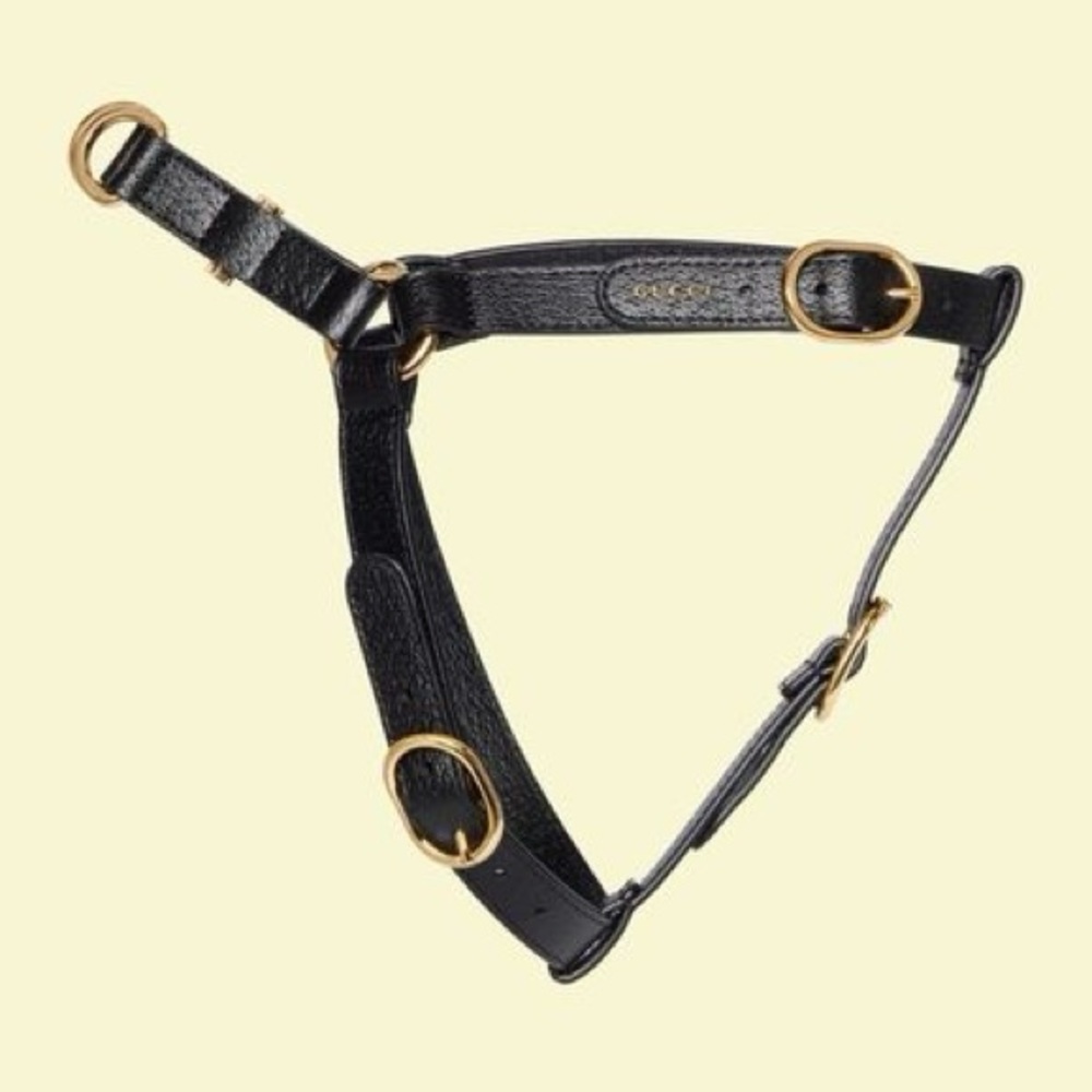 Gucci Pet Harness Black